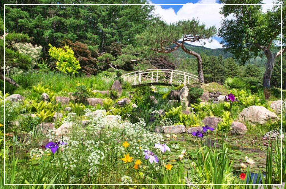 가평 가볼만한곳 베스트10 아침고요수목원