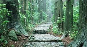 와카야마의 구마노 고도 : 신비로운 순례길을 걷다