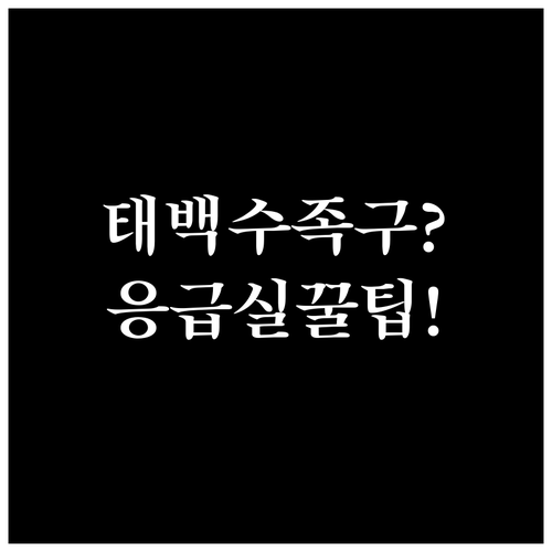 태백시 근처 수족구 진료 병원과 응급..