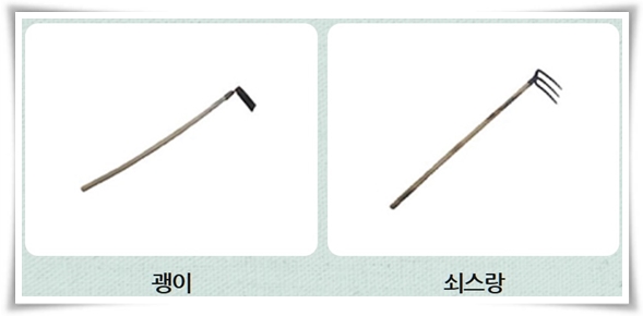 텃밭관리 "2월에 심는 텃밭 작물" 슬기로운 전원생활 가이드!