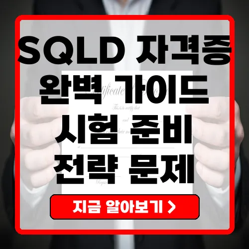 SQLD 자격증
