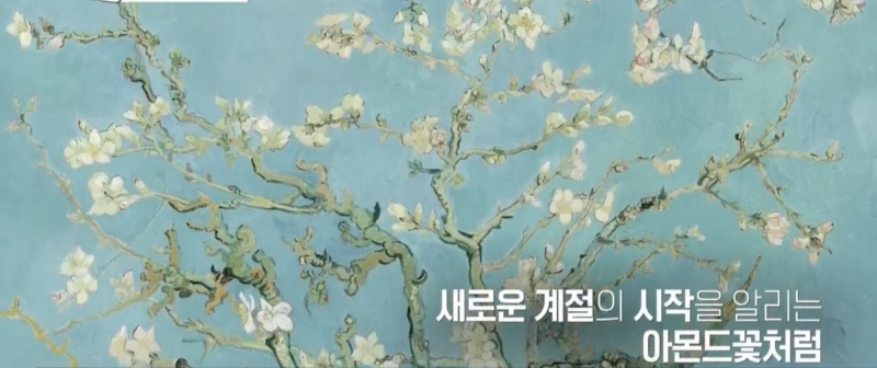 꽃피는 아몬드나무