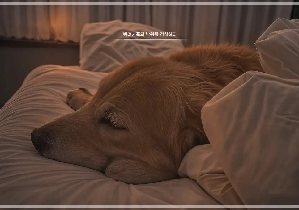 집-나가면-개호강-장소-팔레드-차밍-애견-동반-리조트