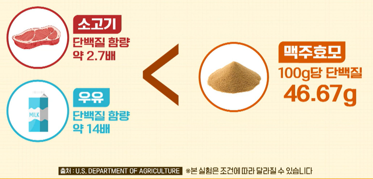 맥주 효모의 효능