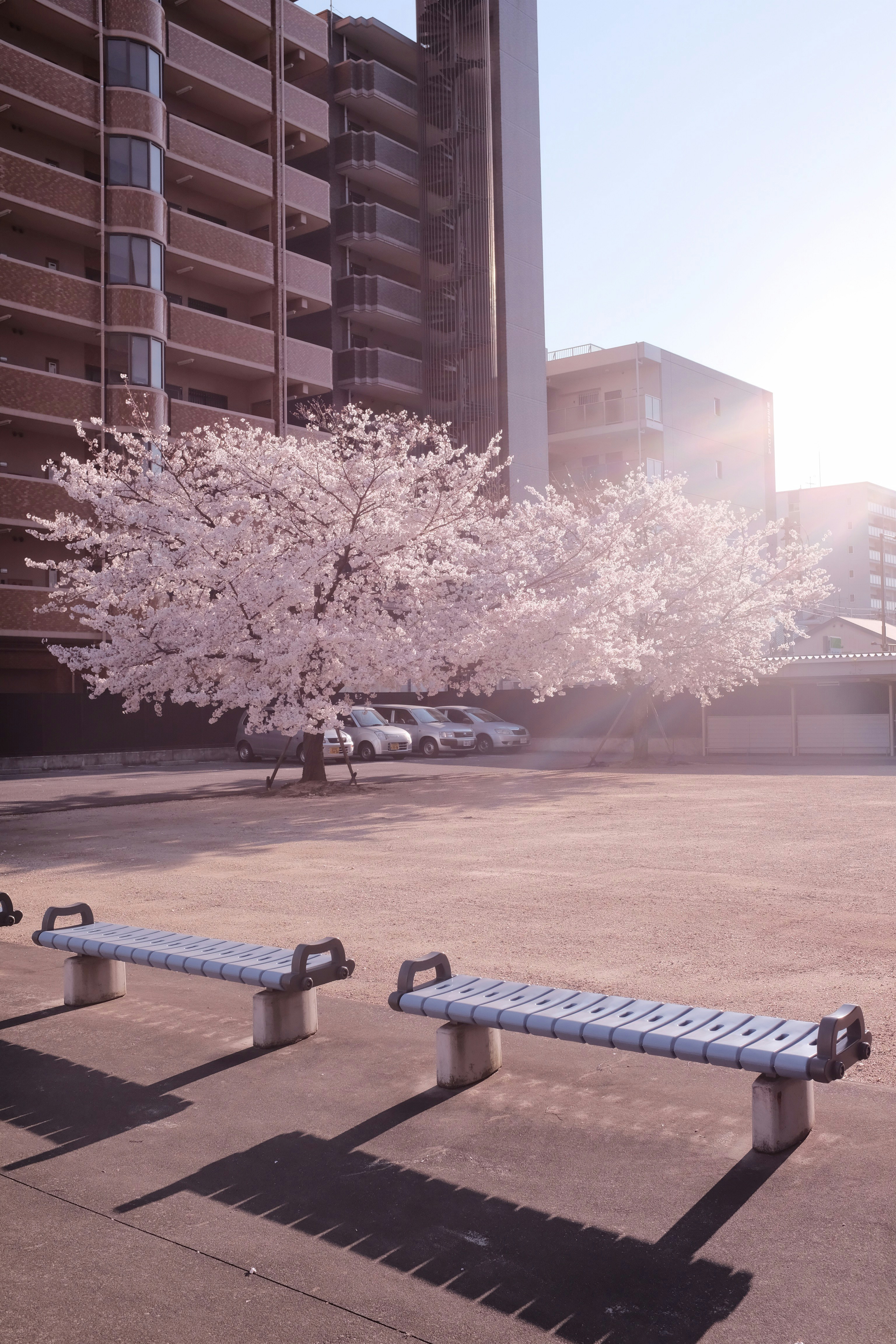 일본 마쓰야마 지역 베스트 여행지 (+ 2박 3일 자유 여행 맛집)
