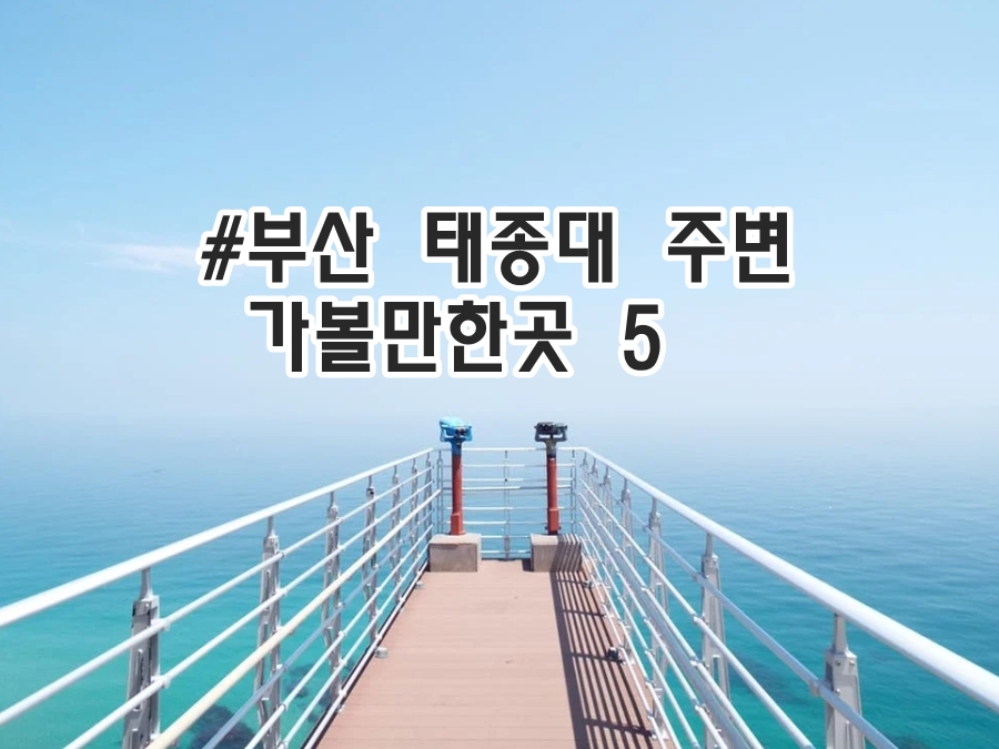 부산 태종대 주변 가볼만한곳 5군데