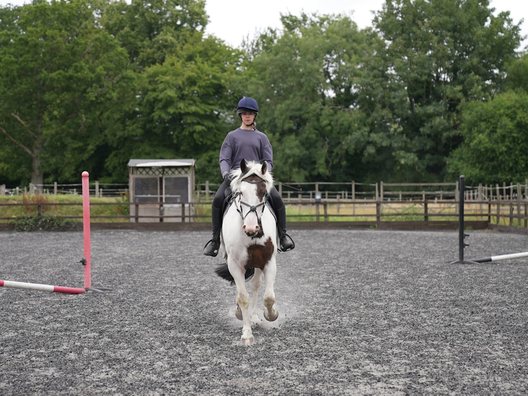 Trot