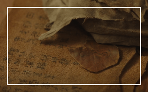 아라문의 검 8회 줄거리 리뷰: 하늘 아래 최강의 생물