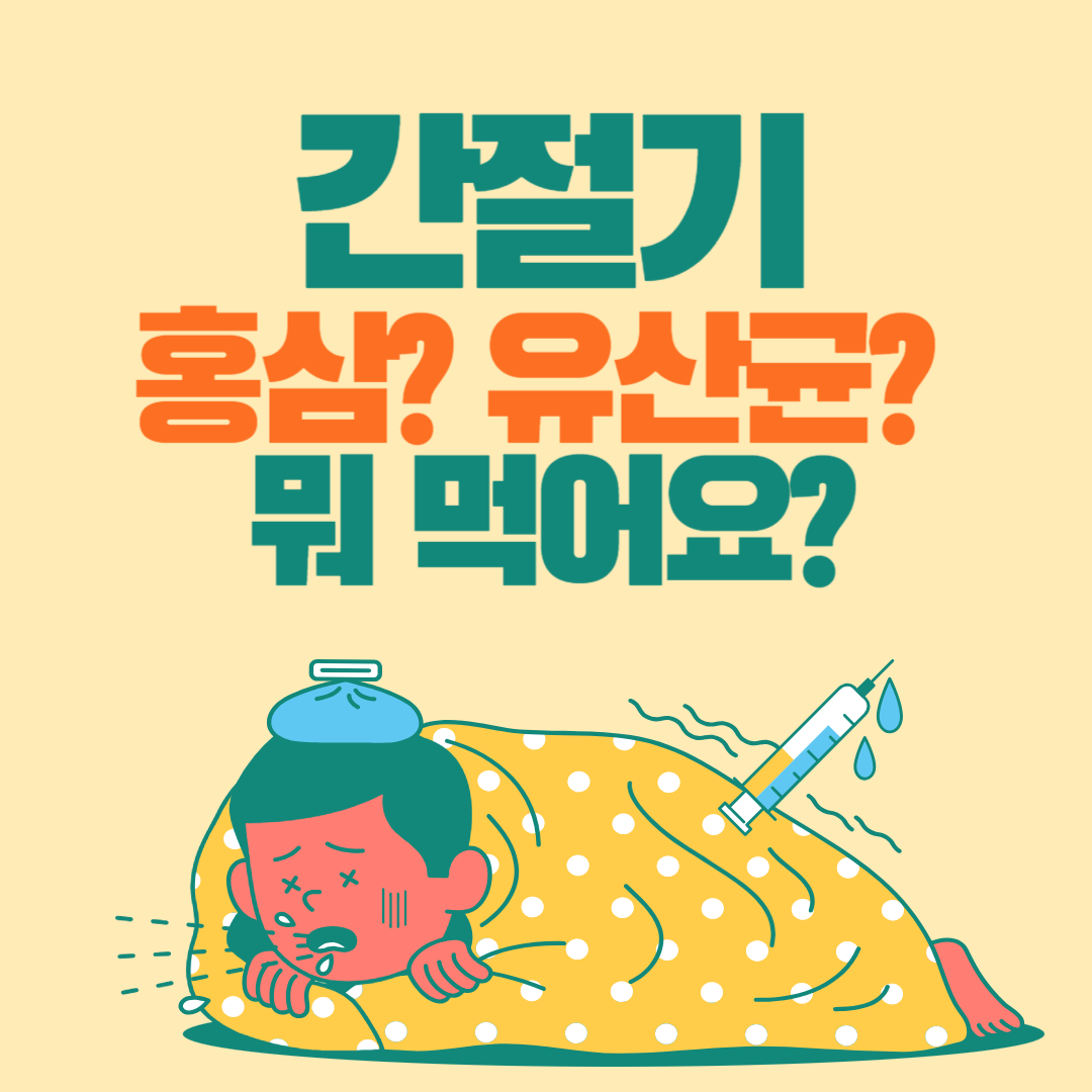 간절기 홍삼 유산균 비교