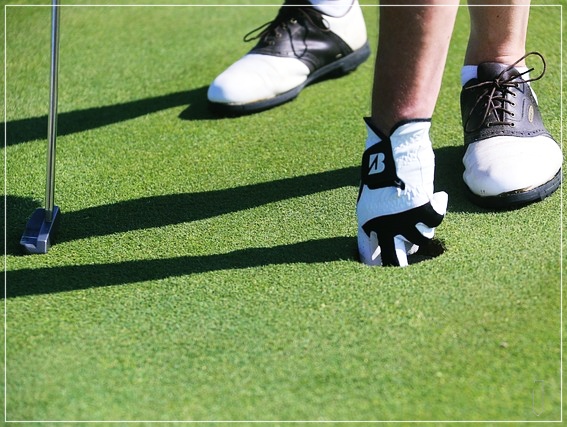 골프용품추천-클럽-장갑-골프화-4