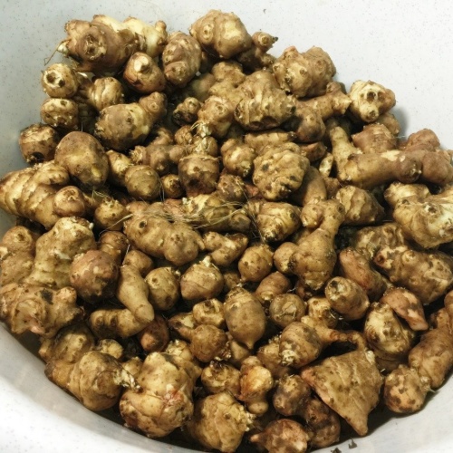 껍질있는 돼지감자