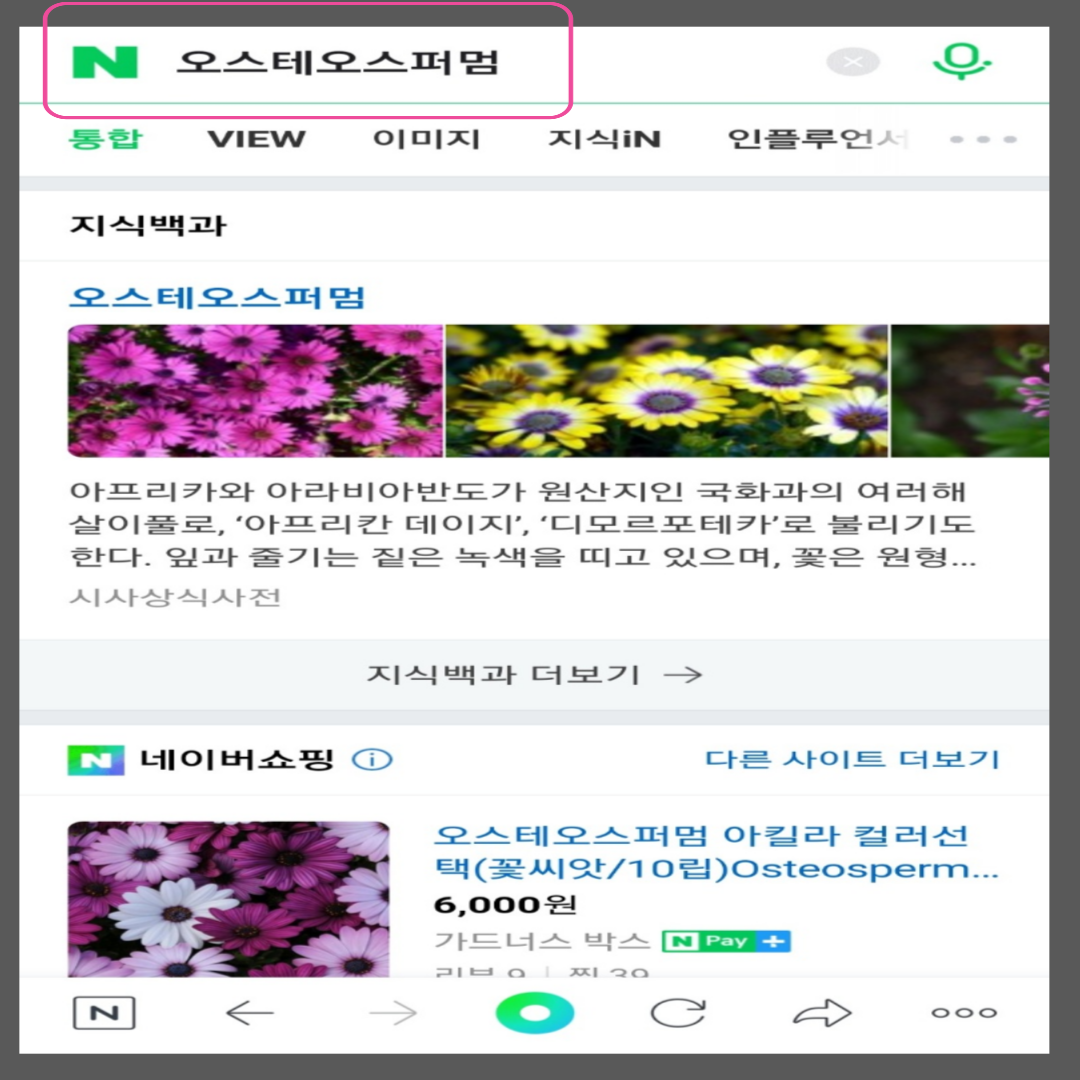 꽃이름 찾기 앱