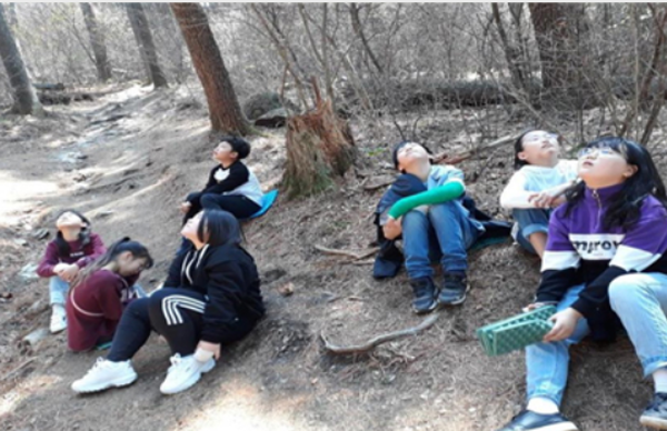 잣향기푸른숲