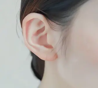 귀