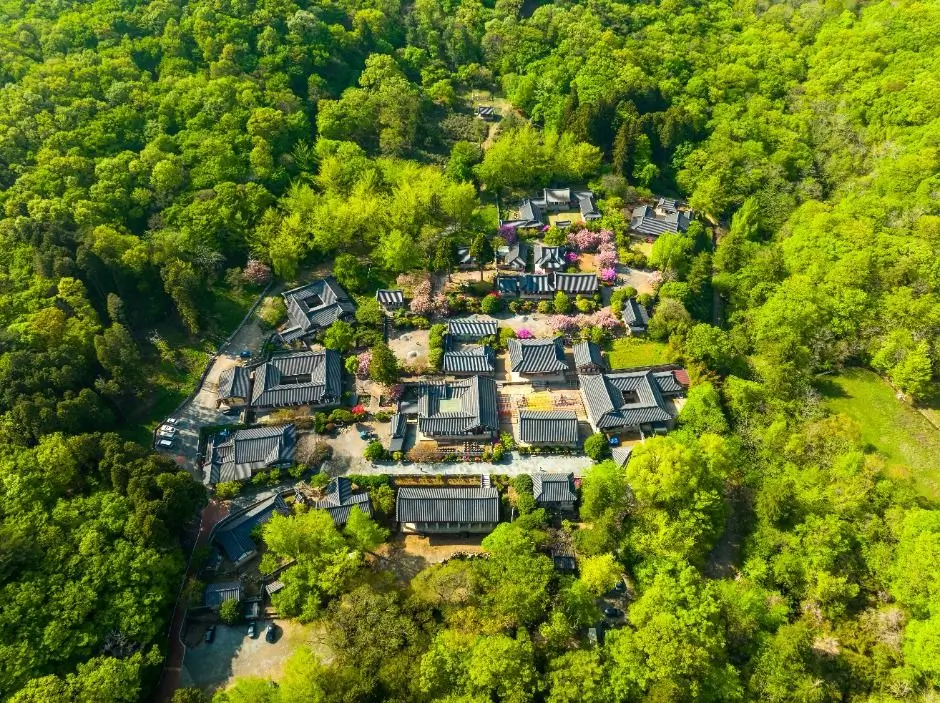 d5dfae4f-39f7-40a3-b80d-b045c0a39c48_8