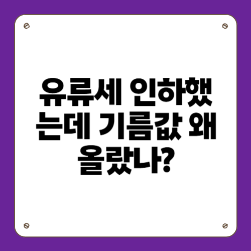 유류세 인하했는데 기름값 왜 올랐나?