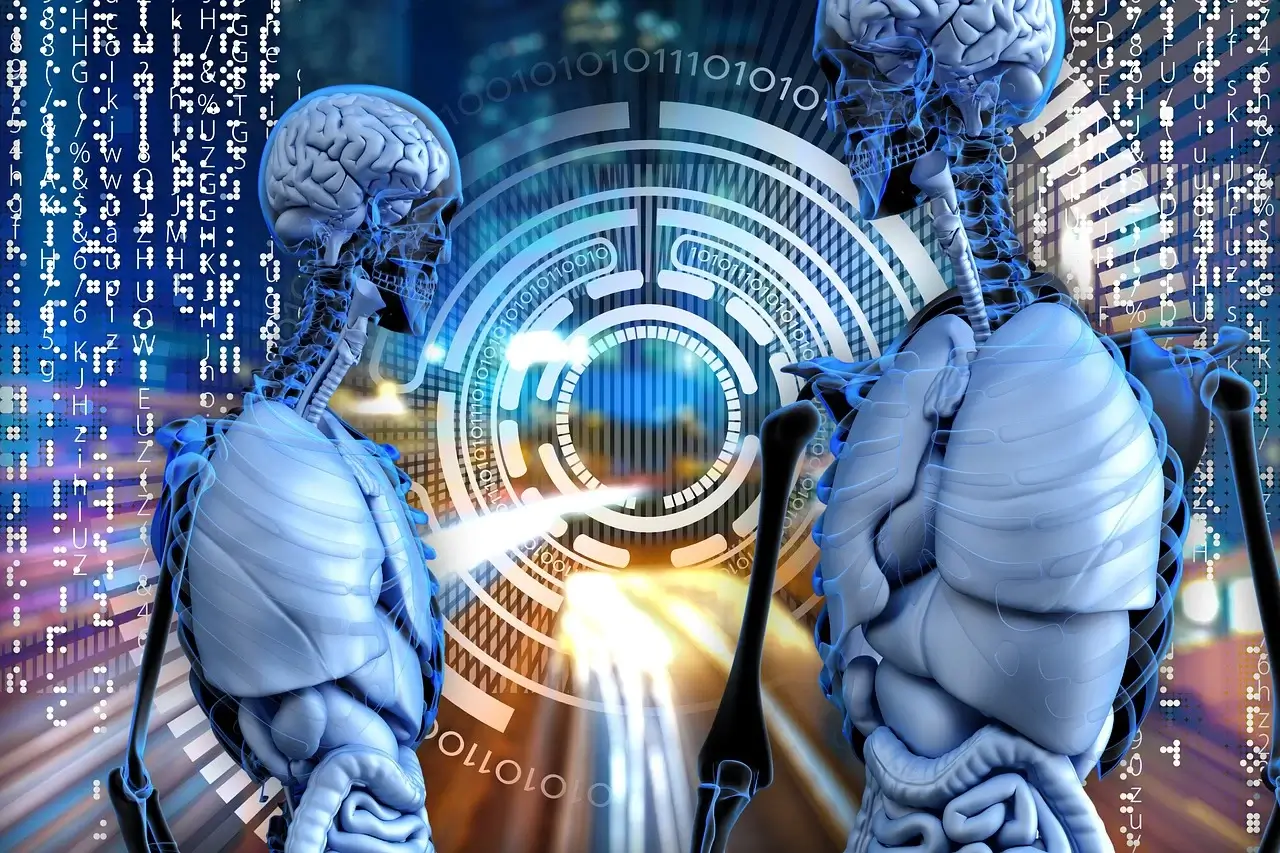 뇌 영양제 추천