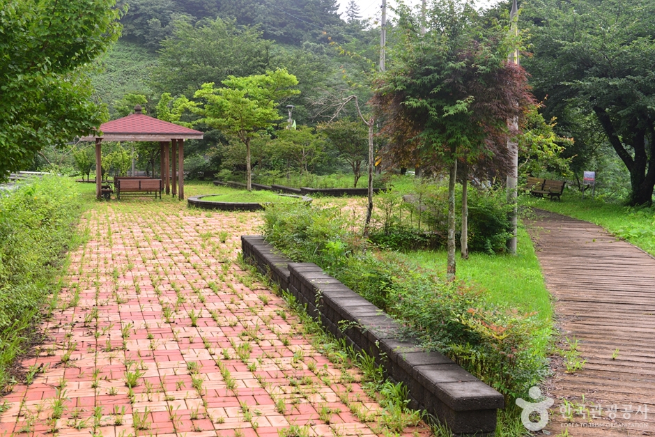 보성 가볼만한곳 베스트10