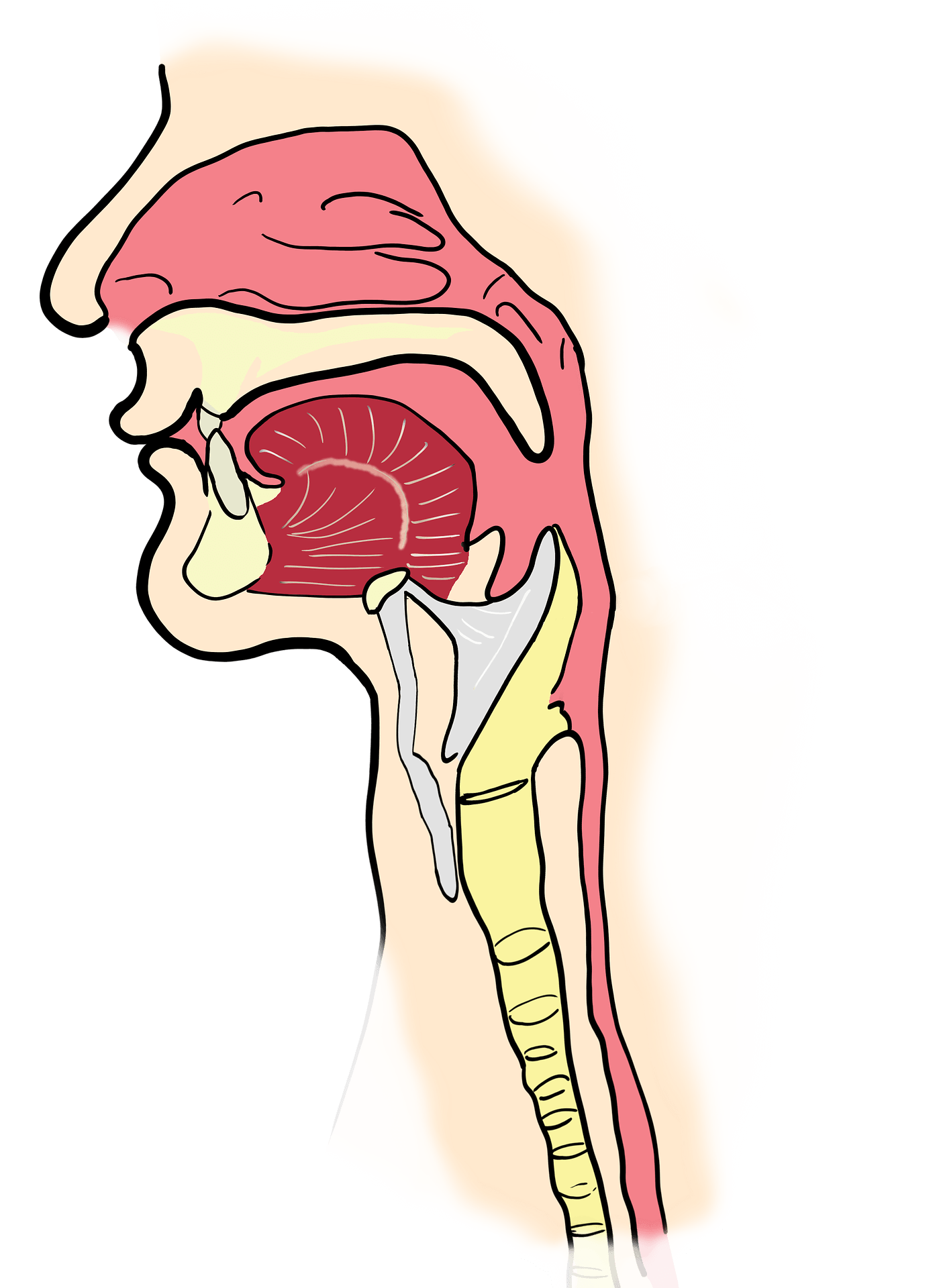 역류성-후두염-증세