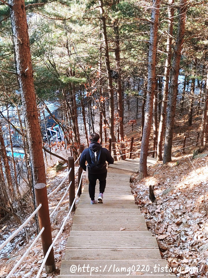 산책로