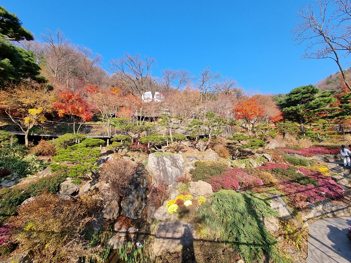 경기도 광주 곤지암 화담숲 단풍시즌&amp;#44; 가을 풍경 퍼레이드와 주변 맛집