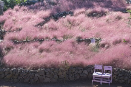 10월 제주도 가볼만한 곳, 축제