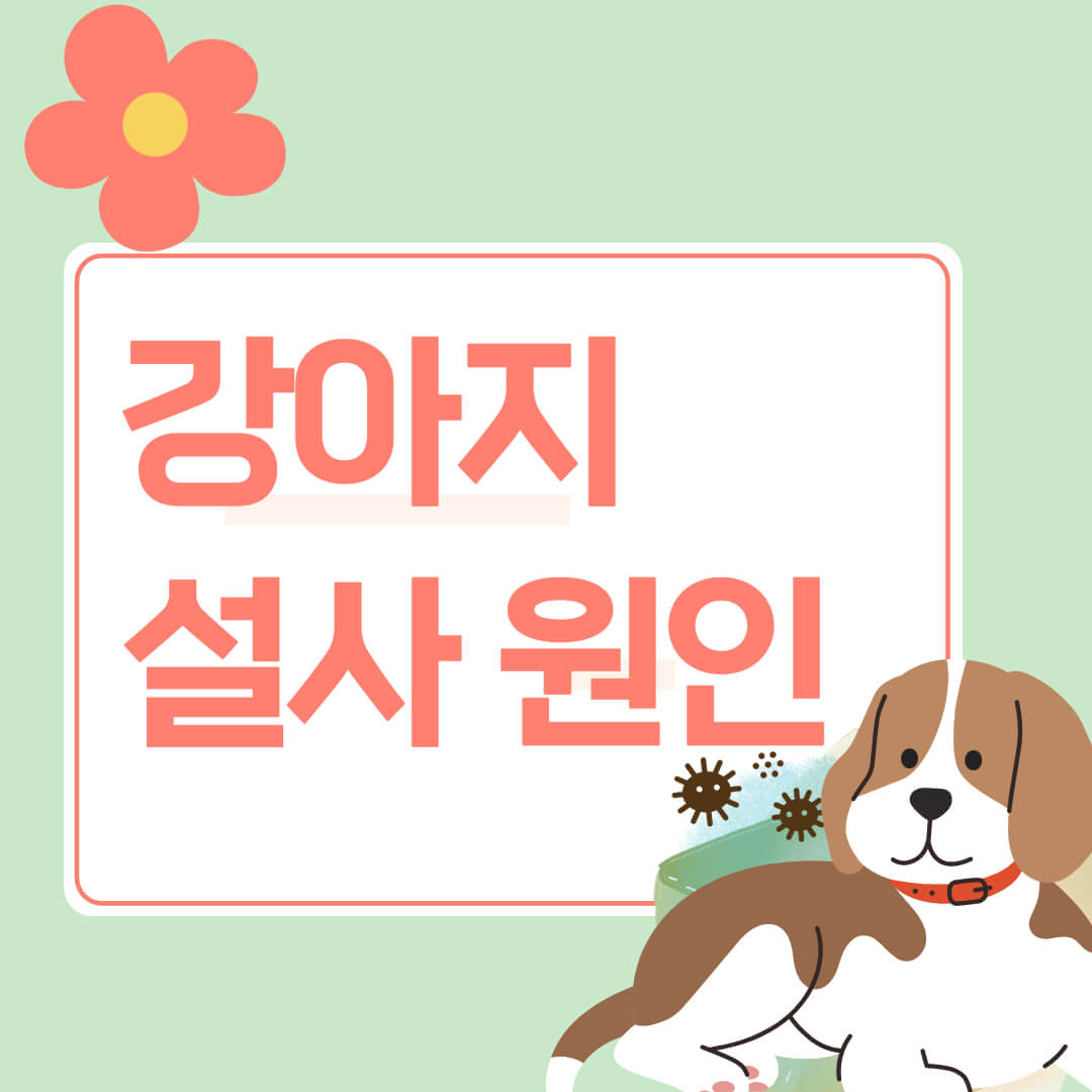 강아지설사원인