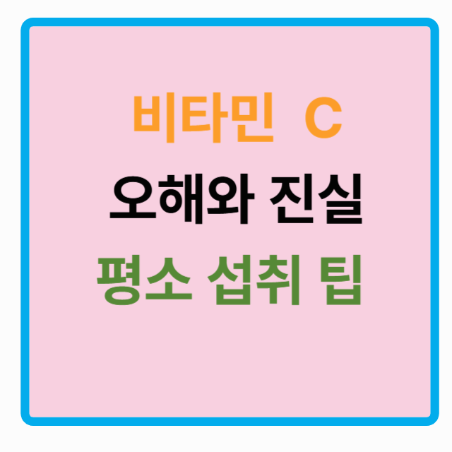 비타민 C의 오해와 진실: 평소 섭취 팁 정리