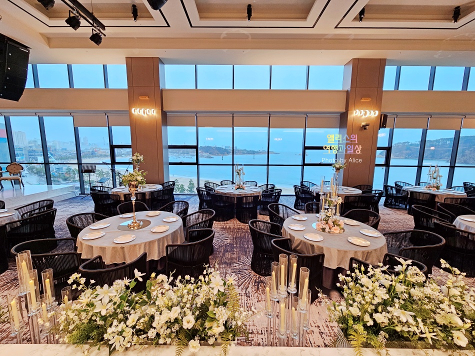 울산 오션뷰 웨딩홀 결혼식장 투어 타니베이 호텔 & 웨딩 예식장 + 뷔페 후기