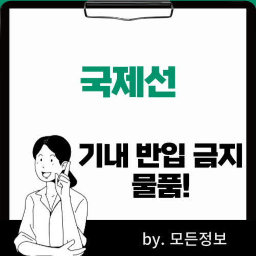 국내선 기내 반입 금지 물품 폭발성 인화성 배터리