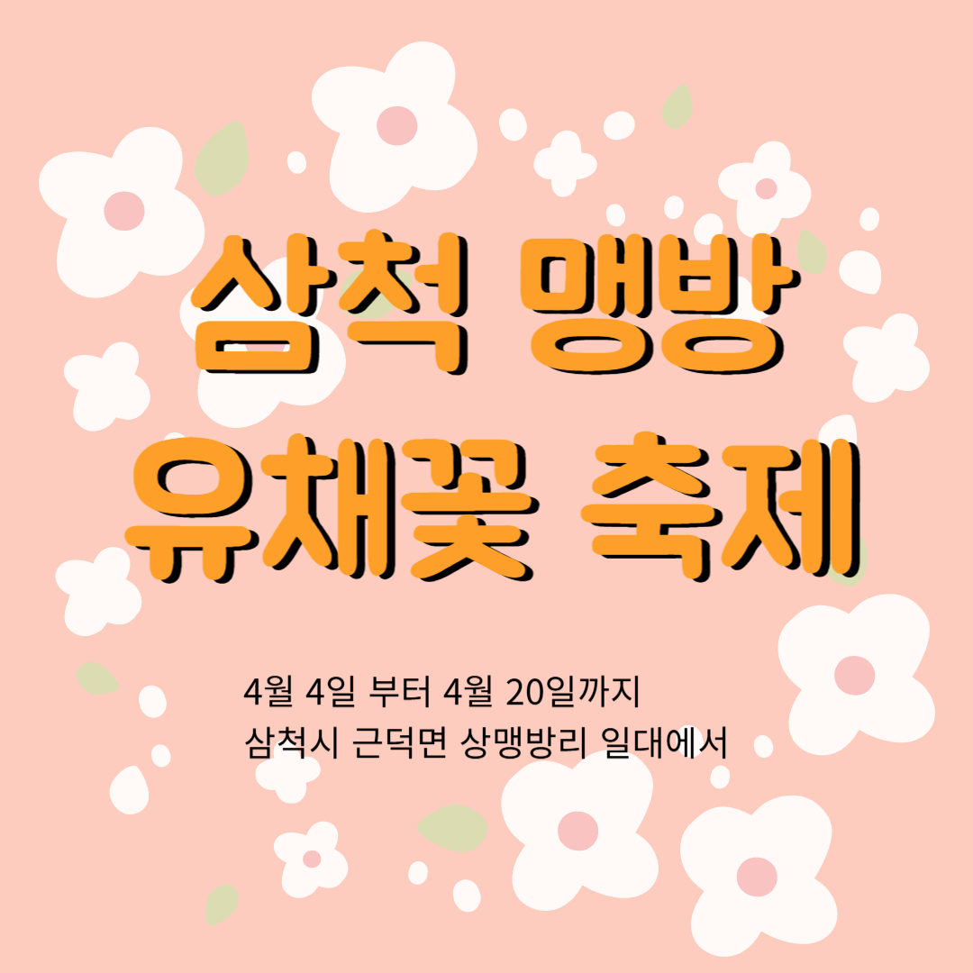 맹방 유채꽃 축제 라고 써있는 이미지