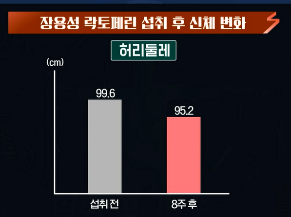 락토페린 복용법 : 장용성 락토페린