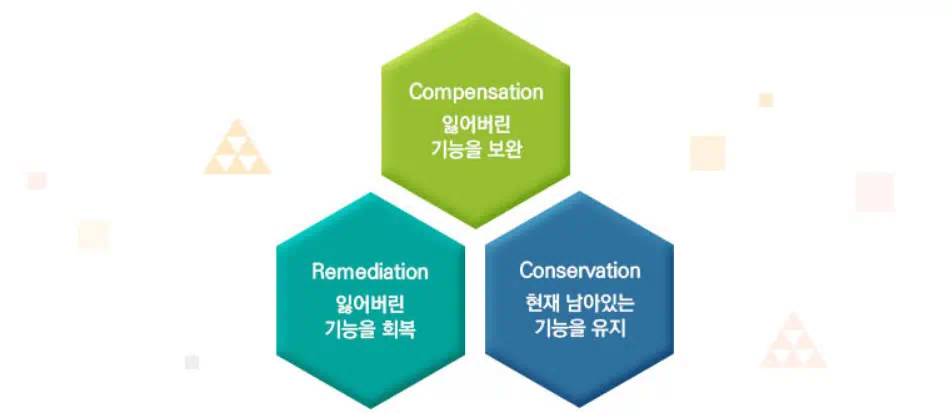 치매 치료 원칙