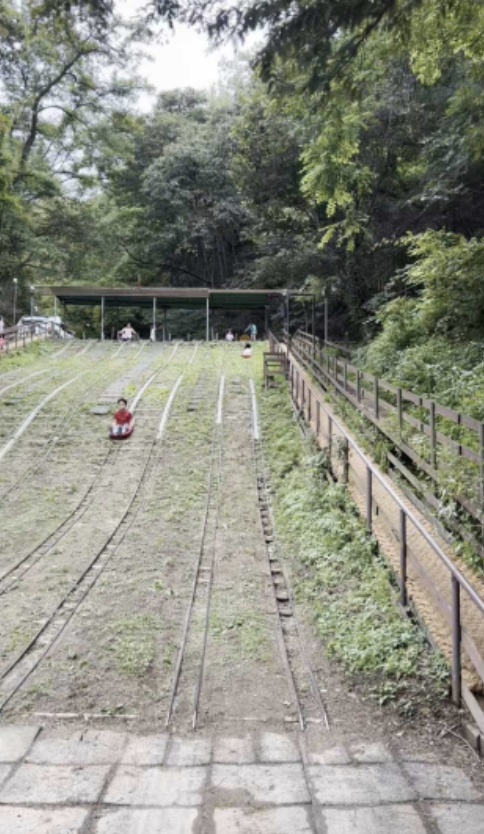 화성반달 곰이 살던 숲 이미지
