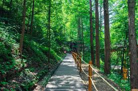 장태산자연휴양림