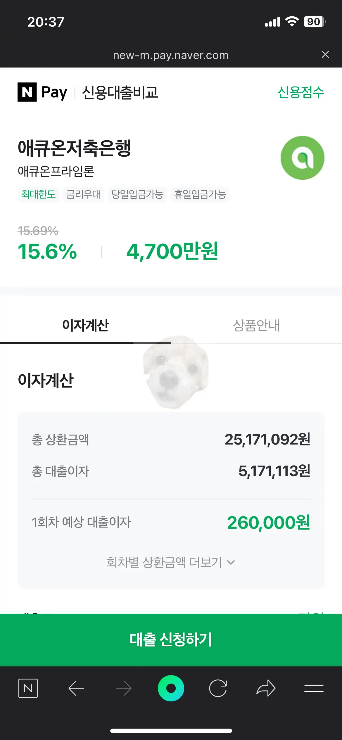 최대한도 대출 사진