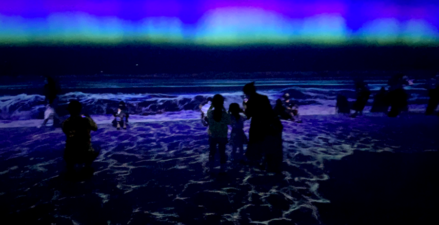 아르떼 뮤지엄 제주