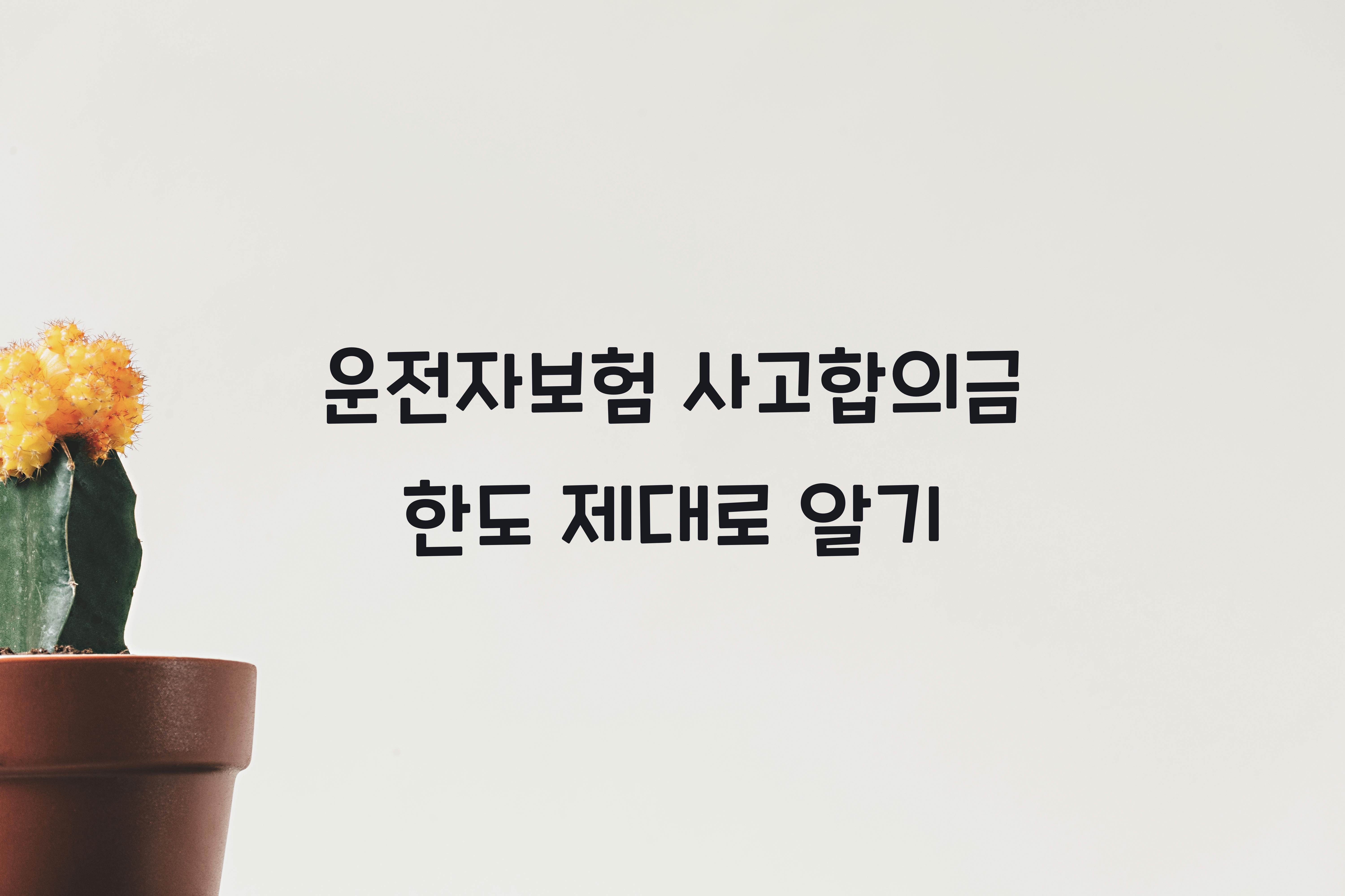 운전자보험 사고합의금 한도