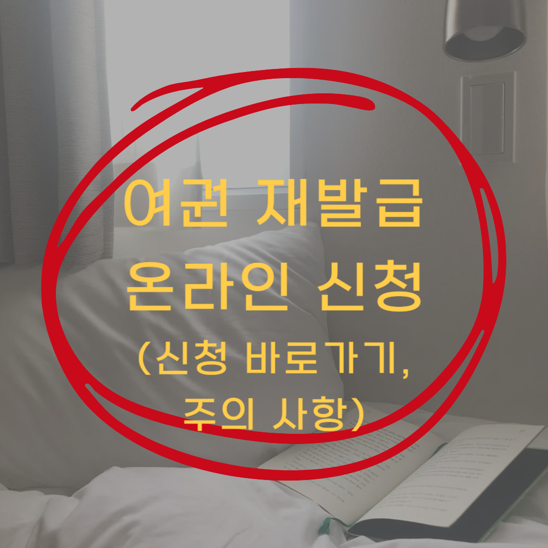 여권 재발급 온라인 신청 (온라인 신청 바로 가기 및 주의사항!)