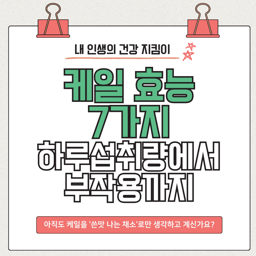 케일 효능 7가지