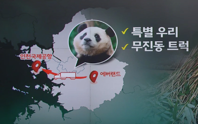 알트태그-푸바오 중국 반환 국내 이동 방법