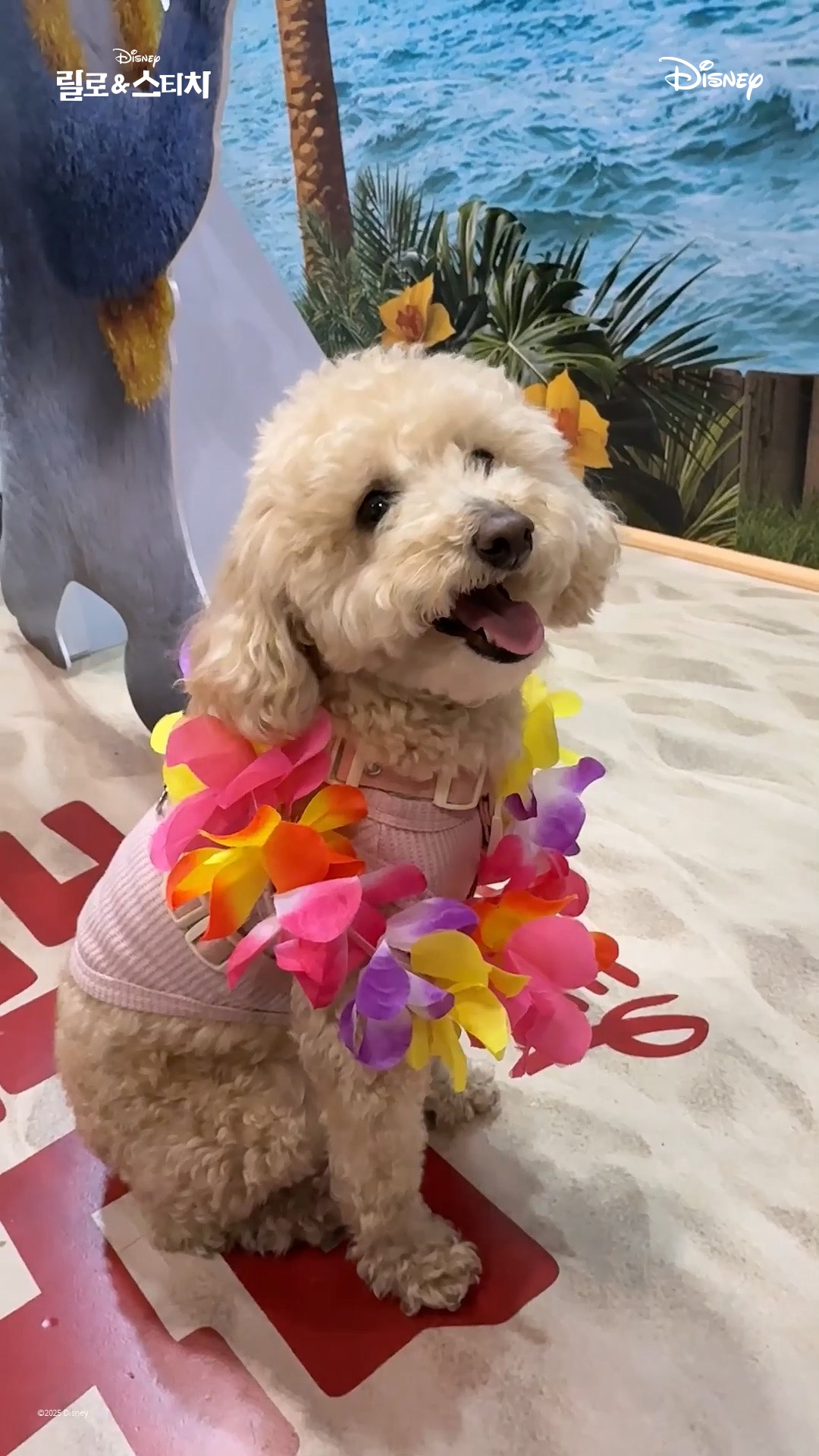 디즈니런 서울 예매 방법(예약, 메달, 마블런 2025)