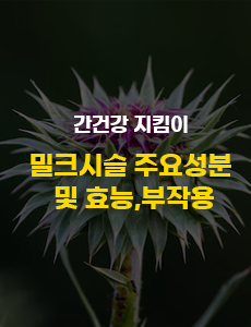 밀크시슬 썸네일