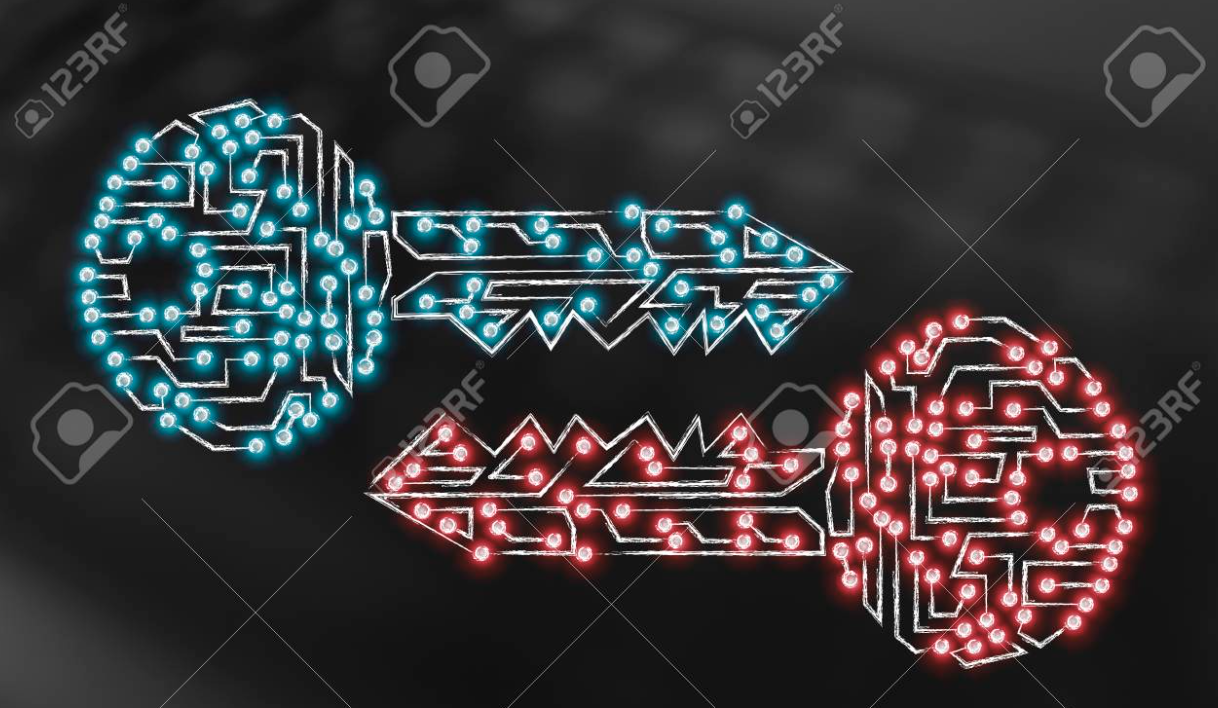알고리즘과 조명 : 디자인 원리 및 작동 방식