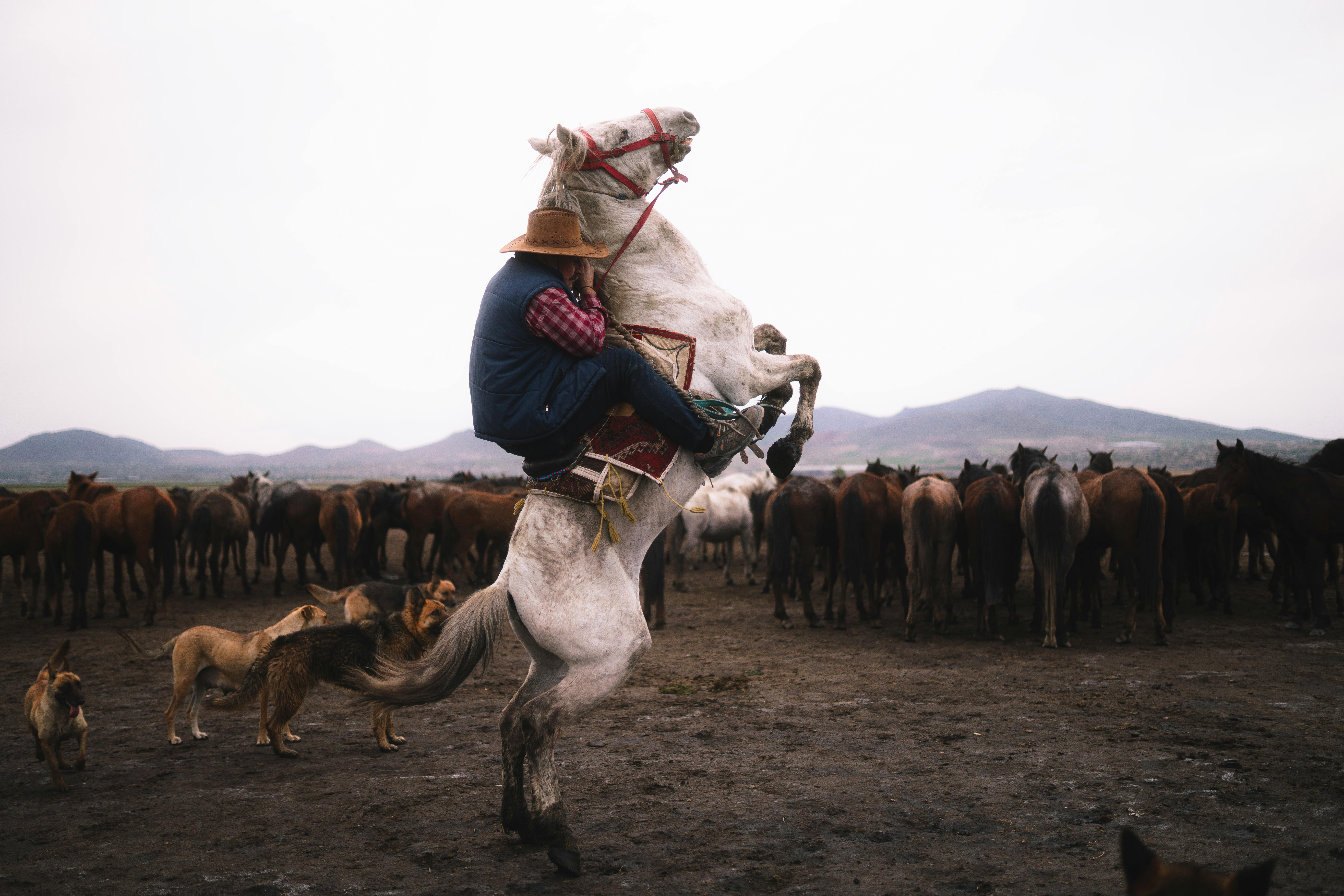 할머니가 부엌에서 일하는을 상징하는 이미지