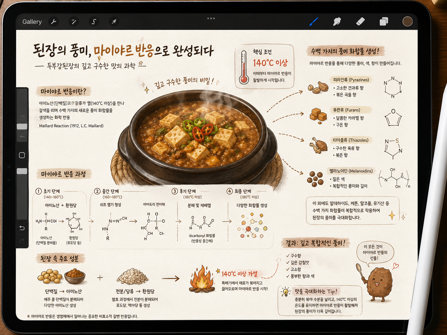 아이패드 프로크리에이트 앱 화면을 담은 일러스트. 뚝배기에 담긴 두부강된장 요리를 중심으로, 된장의 풍미가 극대화되는 마이야르 반응을 과학적으로 설명하고 있다. 아미노산과 당류가 열(140°C 이상)을 만나 수백 가지의 새로운 풍미 화합물을 생성하는 과정을 도식화했다. 하단에는 '들기름에 볶는 과정이 된장의 단순한 짠맛을 고소하고 깊은 풍미로 치환하며, 이것이 곧 진정한 융합의 미학'이라는 보라카이 식탁의 조리 철학이 적혀 있다. 요리 과학의 원리를 시각적으로 정리한 교육적이고 감성적인 이미지이다.