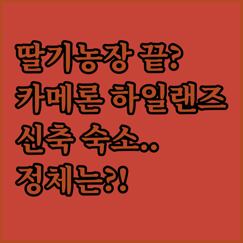 딸기 농장보다 더 유명해진 카메론 하..