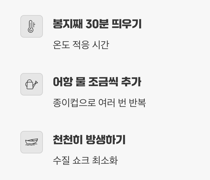 '물맞댐', 성공적인 이사의 첫걸음