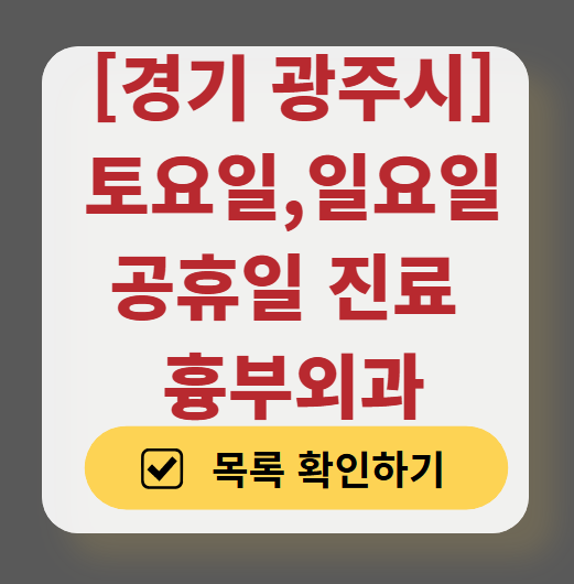 경기도 광주시 주말 토요일 일요일 흉부외과 진료 병원 목록 ❘ 공휴일 진료 영업 병원 리스트 찾기