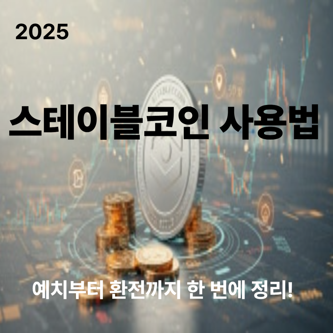 2025 초보자 스테이블코인 사용법